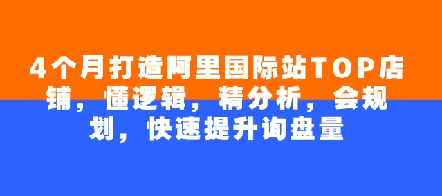 4个月打造阿里国际站TOP店铺，懂逻辑，精分析，会规划，快速提升询盘量-89网创