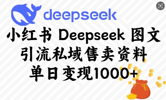 小红书Deepseek图文引流私域售卖资料，单日变现多张-89网创