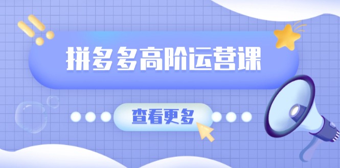 拼多多高阶运营课：极致群爆款玩法，轻付费无尽复制，打造单品爆款之路-89网创