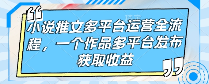 小说推文多平台运营全流程，一个作品多平台发布获取收益-89网创