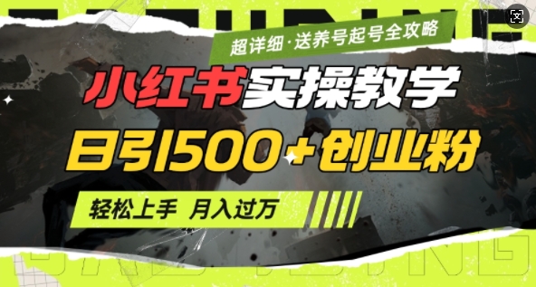 2月小红书最新日引500+创业粉实操教学【超详细】小白轻松上手，月入1W+，附小红书养号起号SOP-89网创