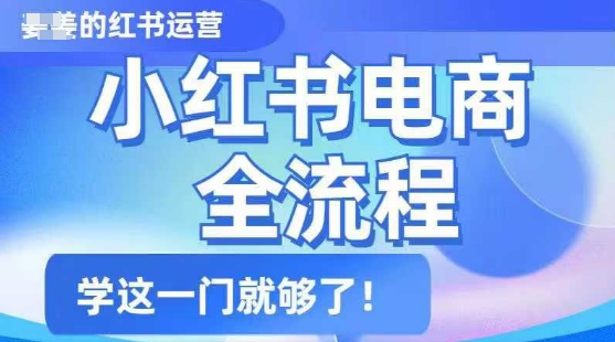 小红书电商全流程，精简易懂，从入门到精通，学这一门就够了-89网创