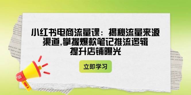 小红书电商流量课：揭秘流量来源渠道,掌握爆款笔记推流逻辑,提升店铺曝光-89网创