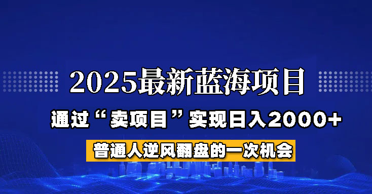 2025年蓝海项目，如何通过“网创项目”日入2000+-89网创