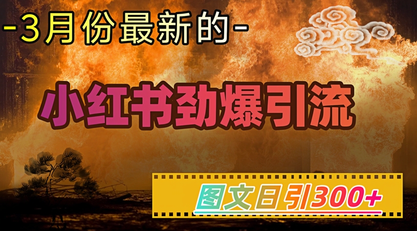 小红书超劲爆引流手段，图文日引300+轻松变现1W-89网创