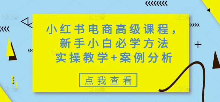 小红书电商高级课程，新手小白必学方法，实操教学+案例分析-89网创