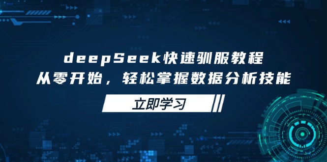 deepSeek快速驯服教程，从零开始，轻松掌握数据分析技能-89网创