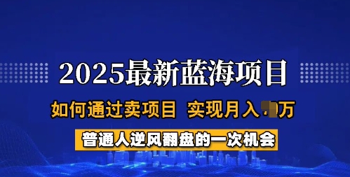 2025蓝海项目，普通人如何通过卖项目，实现月入过W，全过程【揭秘】-89网创