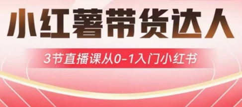 小红薯达人带货启航计划，3节直播课从0-1入门小红书-89网创