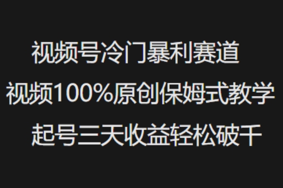 视频号冷门暴利赛道视频100%原创保姆式教学起号三天收益轻松破千-89网创