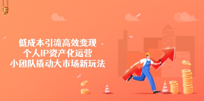 低成本引流高效变现，个人IP资产化运营，小团队撬动大市场新玩法-89网创