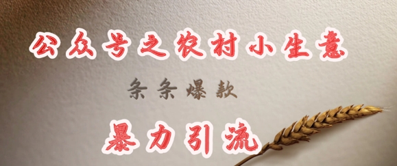 deepseek写农村小项目，条条爆款，暴力引流-89网创