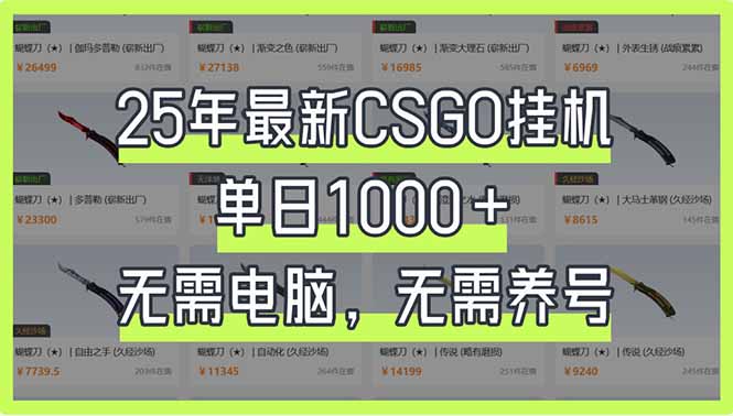 25年最新CSGO挂机系统，单日1000+，无需电脑，无需养号，0基础可上手-89网创