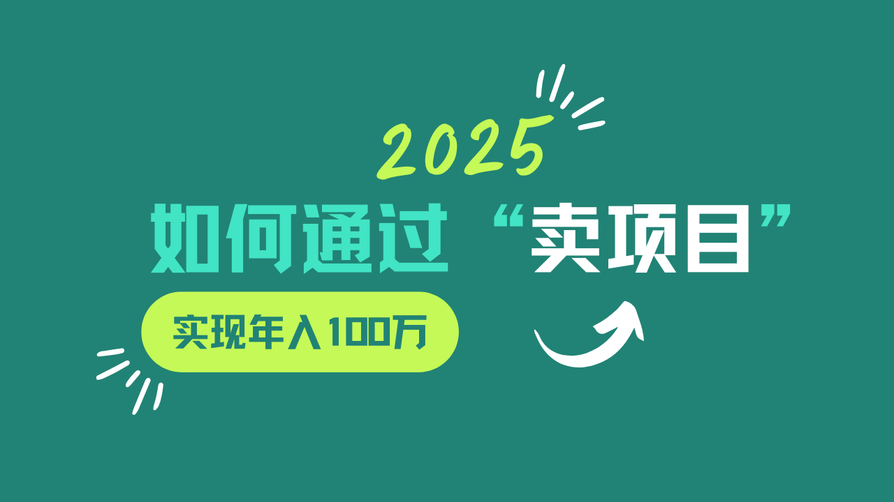 2025年如何通过“卖项目”实现年入100w-89网创