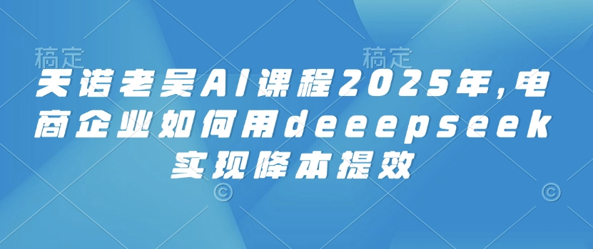 天诺老吴AI课程2025年，电商企业如何用deeepseek实现降本提效-89网创