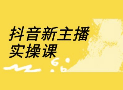 抖音新主播实操课，直播间流量运营线上实操课(18节)-89网创