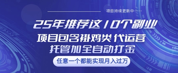 25年推荐这10个副业项目包含褂鸡类、代运营托管类、全自动打金类【揭秘】-89网创