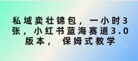 私域卖壮锦包，一小时3张，小红书蓝海赛道3.0版本， 保姆式教学-89网创