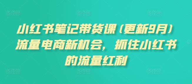 小红书笔记带货课(更新25年3月)流量电商新机会，抓住小红书的流量红利-89网创