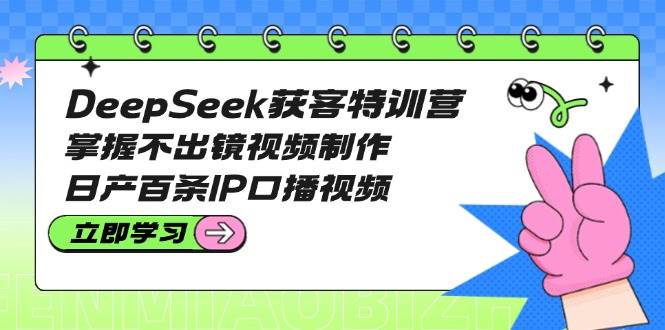 DeepSeek获客特训营：掌握不出镜视频制作，日产百条IP口播视频-89网创