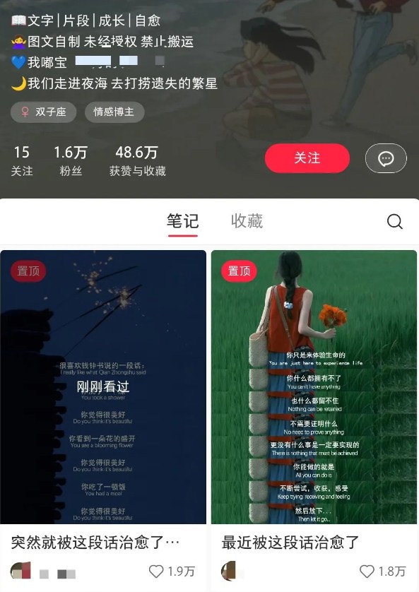 小红书治愈文案图文笔记，零门槛，一分钟制作轻松制作爆款作品月入万元-89网创