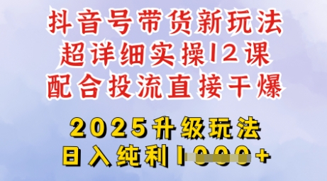 2025全新升级抖音带货玩法，一天纯利四位数，从剪辑到选品再到发布投流，超详细玩法揭秘-89网创