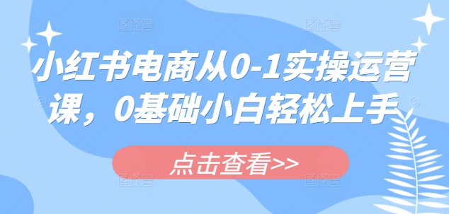 小红书电商从0-1实操运营课，0基础小白轻松上手-89网创