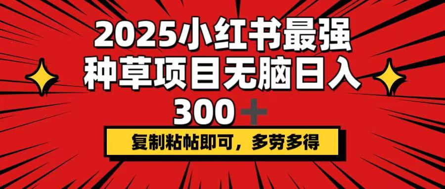 2025小红书最强种草项目，无脑日入300+，复制粘帖即可，多劳多得-89网创