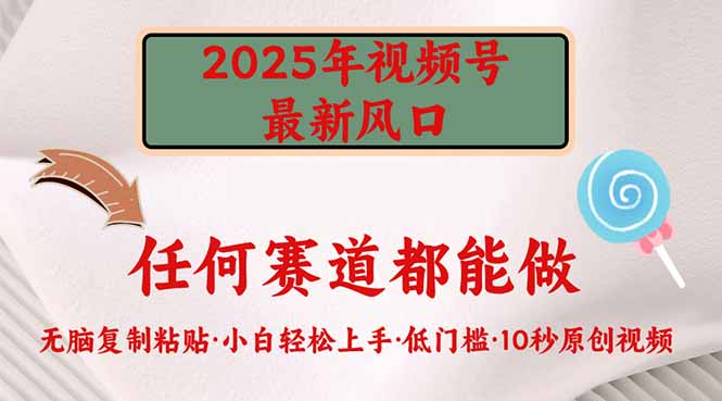 2025年视频号新风口，低门槛只需要无脑执行-89网创