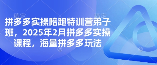 拼多多实操陪跑特训营弟子班，2025年2月拼多多实操课程，海量拼多多玩法-89网创