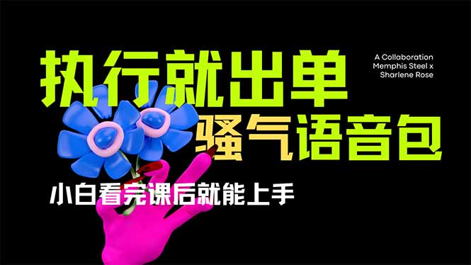 爆火全网的开车导航骚气语音包,只要执行就出单，小白看完课程就能实操…-89网创