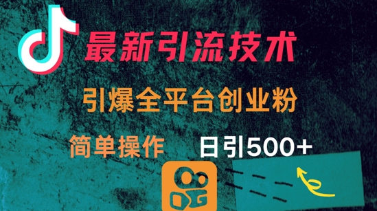 最新引流方法，引爆全平台的一个创业粉，简单操作日引300+-89网创