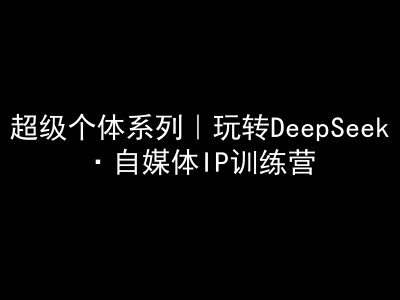 超级个体系列，玩转DeepSeek·自媒体IP训练营，deepseek教程-89网创
