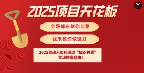 2025项目天花板普通人如何通过知识付费，实现财F自由【揭秘】-89网创