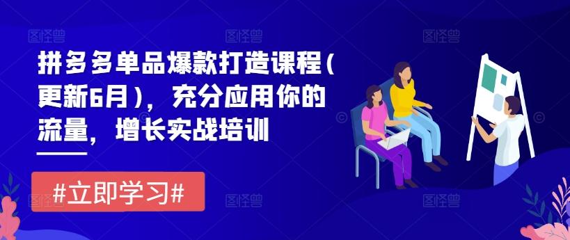拼多多单品爆款打造课程(更新6月)，充分应用你的流量，增长实战培训-89网创