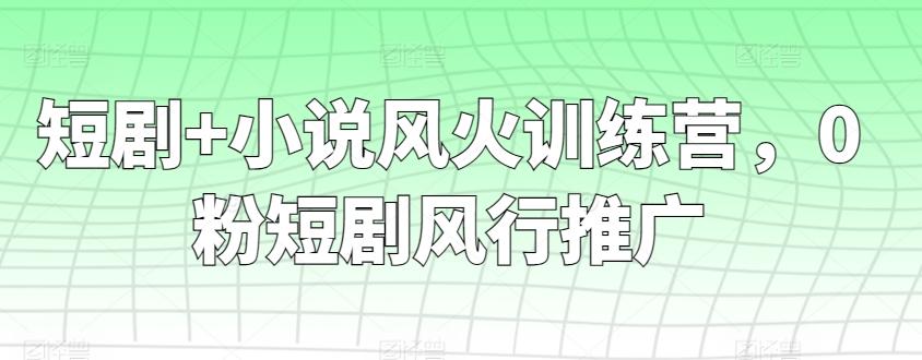 短剧+小说风火训练营，0粉短剧风行推广-89网创