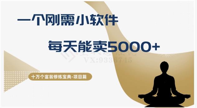 十万个富翁修炼宝典之17.一个刚需小软件，每天能卖5000+-89网创