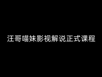 汪哥影视解说正式课程：剪映/PR教学/视解说剪辑5大黄金法则/全流程剪辑7把利器等等-89网创