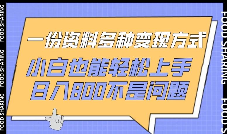 一份资料多种变现方式，小白也能轻松上手，日入800不是问题【揭秘】-89网创