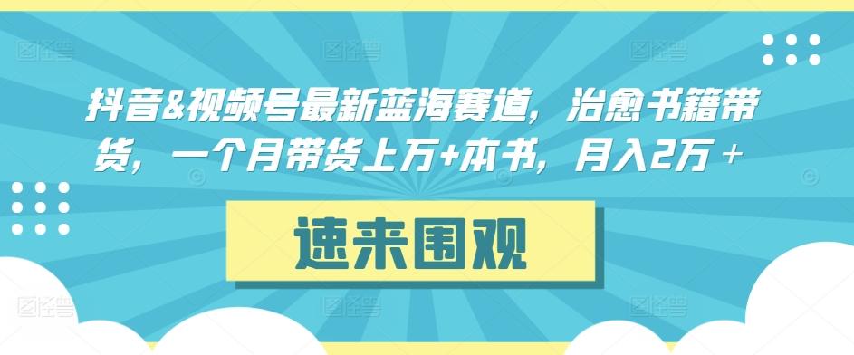 抖音&视频号最新蓝海赛道，治愈书籍带货，一个月带货上万+本书，月入2万＋【揭秘】-89网创