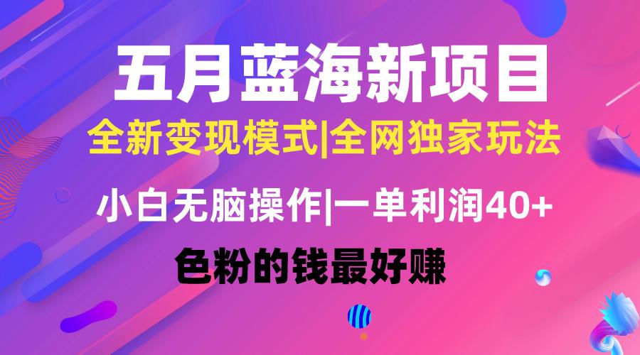 五月蓝海项目全新玩法，小白无脑操作，一天几分钟，矩阵操作，月入4万+-89网创