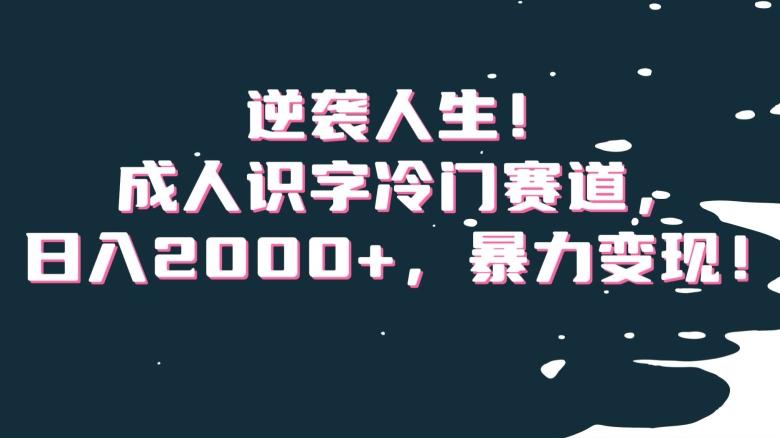 逆袭人生！成人识字冷门赛道，日入2000+，暴力变现！【揭秘】-89网创