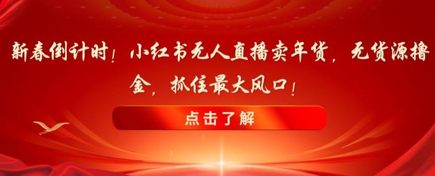新春倒计时！小红书无人直播卖年货，无货源撸金，抓住最大风口【揭秘】-89网创