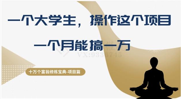 十万个富翁修炼宝典之4.一个大学生操作这个项目，一个月能搞一万-89网创