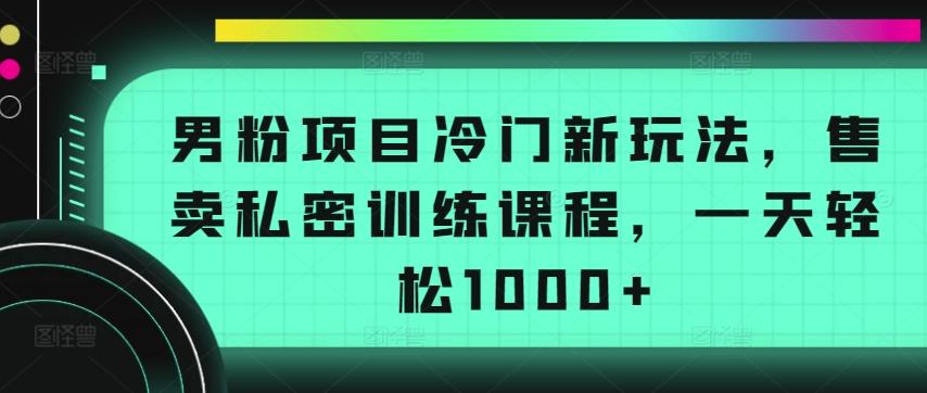 男粉项目冷门新玩法，售卖私密训练课程，一天轻松1000+【揭秘】-89网创