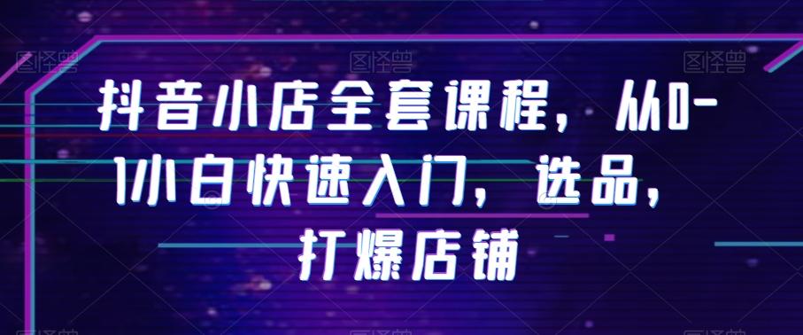 抖音小店全套课程，从0-1小白快速入门，选品，打爆店铺-89网创