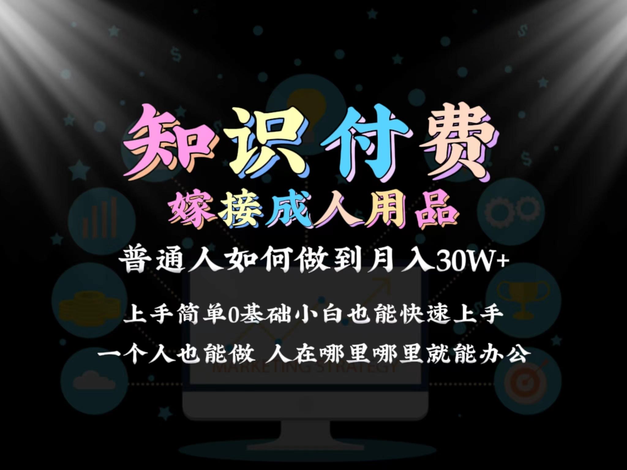 2024普通人做知识付费结合成人用品如何实现单月变现30w 保姆教学1.0-89网创