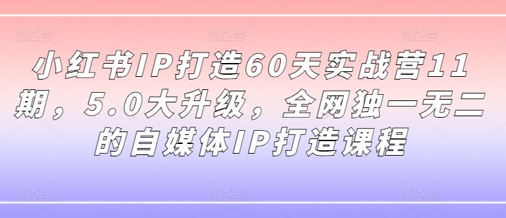 小红书IP打造60天实战营11期，5.0大升级，全网独一无二的自媒体IP打造课程-89网创
