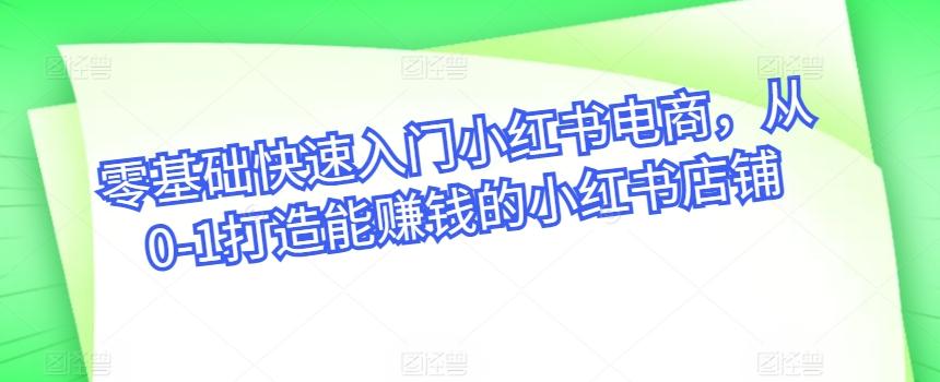 零基础快速入门小红书电商，从0-1打造能赚钱的小红书店铺-89网创