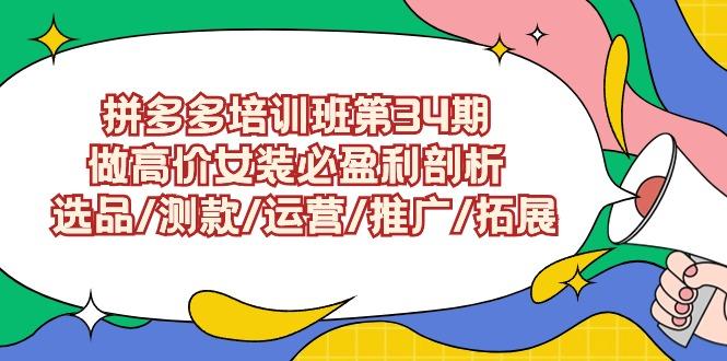 (9333期)拼多多培训班第34期：做高价女装必盈利剖析  选品/测款/运营/推广/拓展-89网创